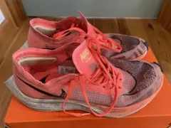 Item thumbnail for item 20264ad5-dd1e-43da-8df3-470a0125b6fc