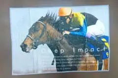 競馬　サラブレッド　ディープインパクト　マット　ラグ