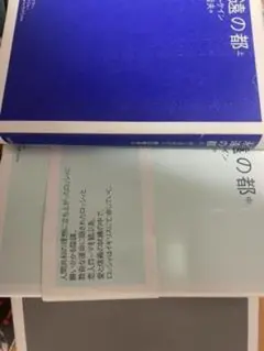 フェア特典付き 美しきこの世界 -偽りと祝福-（CV.テトラポット登