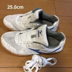 ミズノ体育館シューズ　25.0