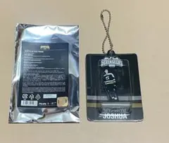 SEVENTEEN'S HOME ジョシュア アクリルキーホルダー