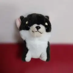 むちむチワワ　チワワ　ぬいぐるみ　約11cm　犬