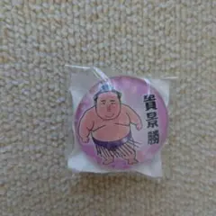 ひなまる様 リクエスト 3点 まとめ商品