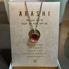 嵐 スワロフスキー チャーム ネックレス レッドスワロフスキー シルバーロケット