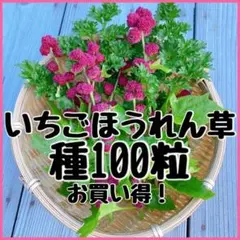 komamonodonnya様 リクエスト 2点 まとめ商品