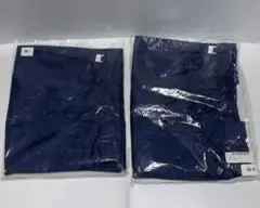 Item thumbnail for item 8baad0f4-f16e-4272-a796-2e758da2aef0