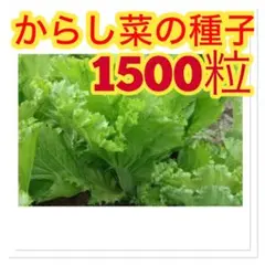 Tomo Soma様 リクエスト 7点 まとめ商品