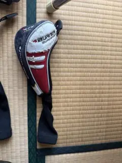 Item thumbnail for item 1137987c-eeb1-4746-ac17-e7652a783a31