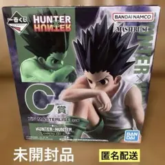 一番くじ HUNTER×HUNTER C賞 ゴン MASTERLISE