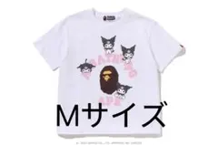 Item thumbnail for item a2753a61-0743-435a-9608-3f0f13f45b81