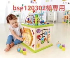 bse120302様専用　Hape製 カントリークリッターズプレイキューブ