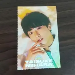 新原泰佑　NYLON　チームハンサム　カード