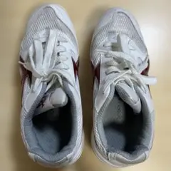 体育館シューズ　上履き　部活　23㎝　レディース　白