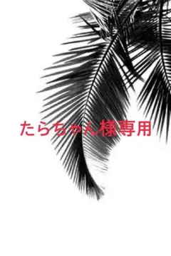 たらちゃん様専用ページ