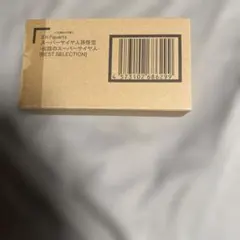 S.H.フィギュアーツ スーパーサイヤ人孫悟空 [BEST SELECTION]