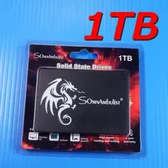 【SSD 1TB】SomnAmbuList H650 2.5inch SATA