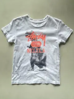 STUSSY 恐竜　old stussy 古着のサムネイル