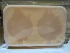 Item thumbnail for item a4306af9-6452-4d4a-a935-871e6bf70367