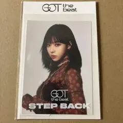 GOT the beat ホログラム フォトカードセット　aespa　ウィンター