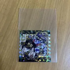 ジョジョの奇妙な冒険 ウエハース シール 空条承太郎 スタープラチナ