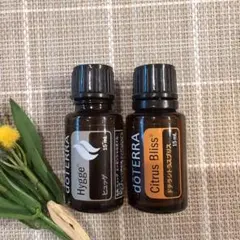 2025年最新】ヒュッゲ ドテラの人気アイテム - メルカリ