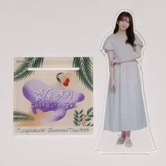 Item thumbnail for item 79070f4d-8f78-48da-9403-aa61f1f58474