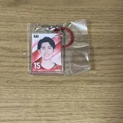 甲斐優斗 めじるしチャーム