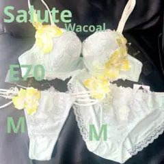 2026年最新】サルート セットの人気アイテム - メルカリ