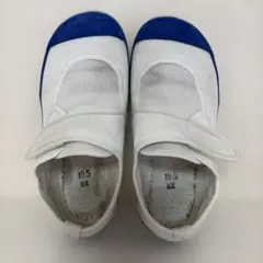 上履き　教育パワーシューズ　19.5cm ブルー　上靴