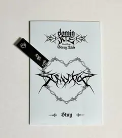 StrayKids フィリックス ソウルコン STAYZONE フォトパッケージ