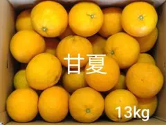 甘夏　１３kg　長崎県産　45のサムネイル