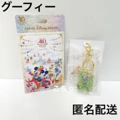 ディズニー　40周年　グランドフィナーレ　キーチェーン　グーフィー