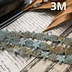 ジャンクジャーナル素材☆草木染めケミカルレース3メートル 580 - メルカリ