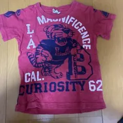 Item thumbnail for item 9c27b71f-b7c1-47f6-a884-c25b7f0fd2f5