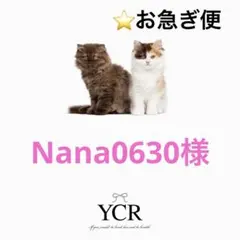 Nana0630様　ぷっくりネームボードオーダ　BTS J-HOPE