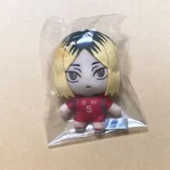 ハイキュー!! セガラッキーくじ 孤爪研磨 ぬいぐるみ