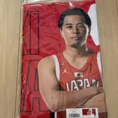 チャップさん専用）バレーボールネーションズリーグ スポーツタオル 関