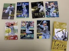 Item thumbnail for item a24e9aae-5395-4971-a74f-7f6c666e7de7