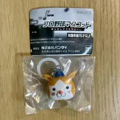 プロ野球マスコット めじるしアクセサリー ■DB.スターマン（横浜DeNA)
