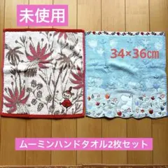 未使用 ムーミン　ハンドタオル　2枚セットのサムネイル