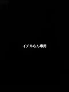 イチルさん専用出品