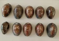 Item thumbnail for item 709eb74f-6a2e-4656-aa3d-2b35fb66af6b