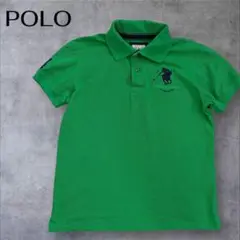 POLO SANTA FE ポロ ポロシャツ 刺繍 グリーン コットン