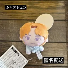 NCT CCOMAZ シャオジュン ぬいぐるみ Amazon.co.jp: NCT CCOMAZ ぬいぐるみ 缶 WayV シャオジュン