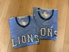 Item thumbnail for item 29c98d19-4ff8-4420-bed2-56b65b7b5753