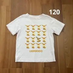 イーブイTシャツピンクのサムネイル