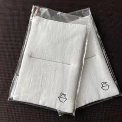 Item thumbnail for item b52c833f-600b-4e91-957a-f8593a891eab