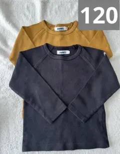 【OMNES】オムネス　七分袖カットソー　120