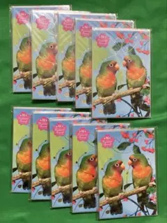 オリエンタルベリー 桜プレミアムアニマル 絵葉書 100枚 P-848 インコ
