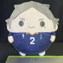 ハイキュー　ふわコロりん　BIG 菅原孝支　制服 グッズ-ぬいぐるみ】ハイキュー!! ふわコロりんMsize3 G：菅原